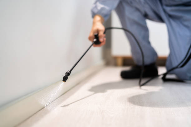 Licensed Pest Control service in Webster City, IA - Show Me Pest Control